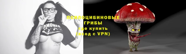 соль курить ск Липки