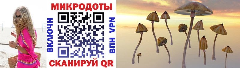 Галлюциногенные грибы прущие грибы  Купить  Остров 